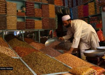 Unprecedented Surge in Kandahar Exports: Over $500 Million in Produce Shipped Abroad