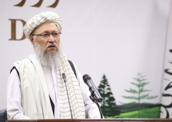Hanafi Asserts Islamic Emirate’s Right to Afghanistan’s UN Seat