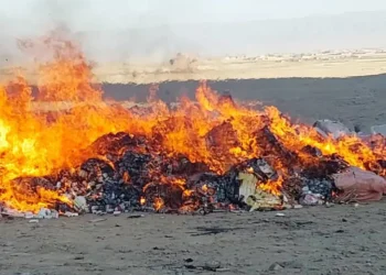 Over 10 Tons of Contraband Pharmaceuticals Incinerated in Helmand Province