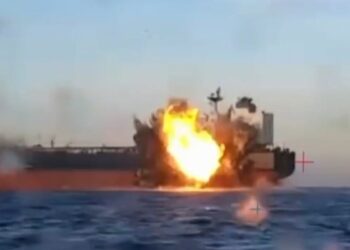 Turkish Cargo Ship Carrying Grain Sunk by Drone Attack in Black Sea; Two Sailors Killed